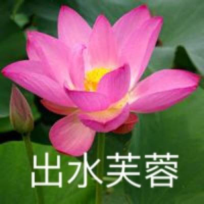 游戏王决斗链接网易版下载